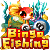 28bet facebook - Câu Cá Bingo